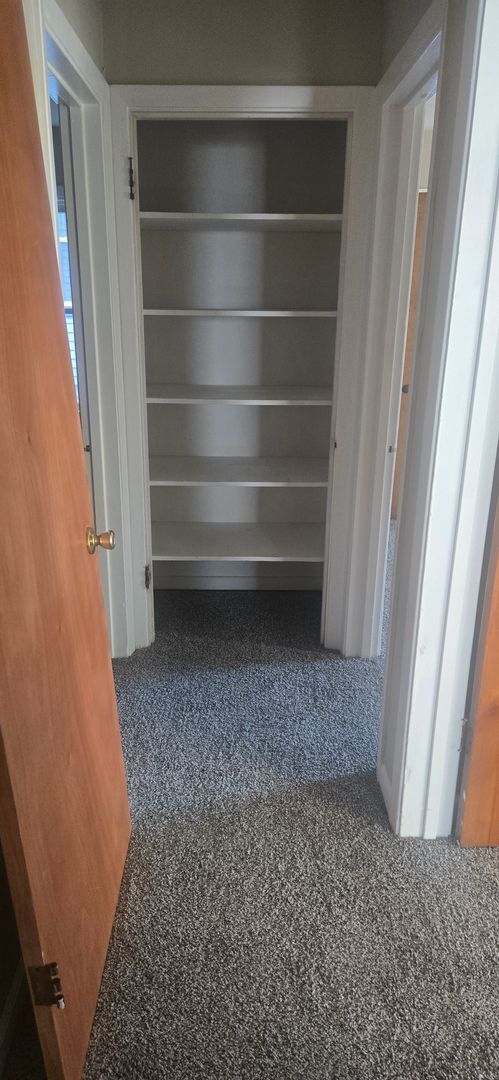 Building Photo - Newly Renovated