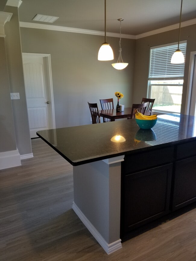 Building Photo - 8037 Pavo Real St