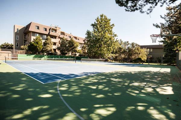 multi use courts - 3120 Corona Trl