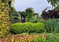 Building Photo - Cozy 2 Bedroom in Charming Everett Neighbo...