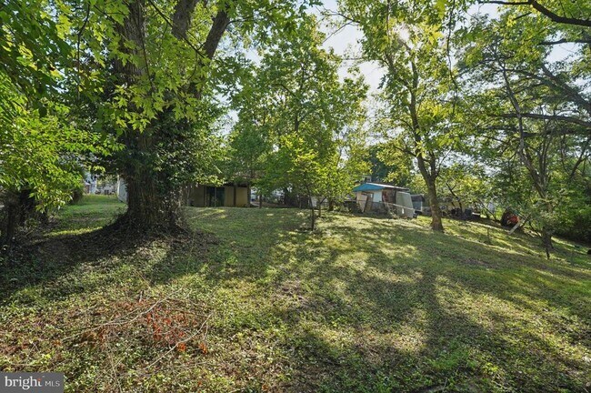 Building Photo - 229 Cabbel Dr