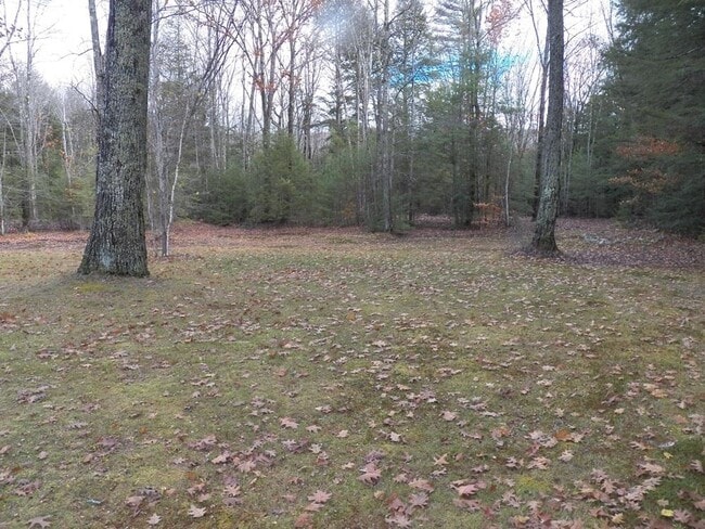 Building Photo - 2337 2nd New Hampshire Turnpike N