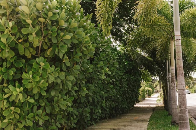 Building Photo - 610 38th St