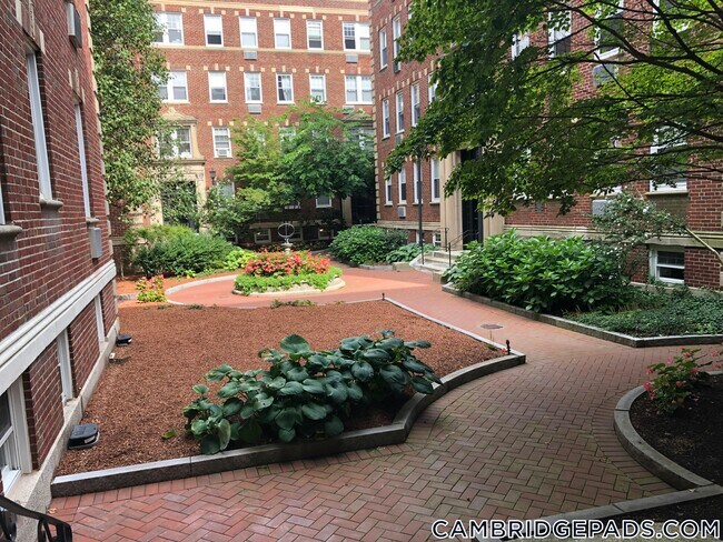 Building Photo - 22 Chauncy St