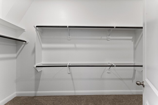 Building Photo - 522 Black Bronco Rd