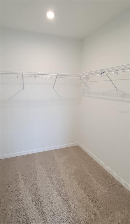 Building Photo - 4828 Vellacito Way