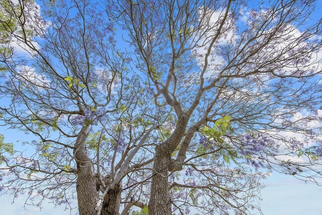 Building Photo - 2 bedroom and 2 bathroom |Leisure Village ...