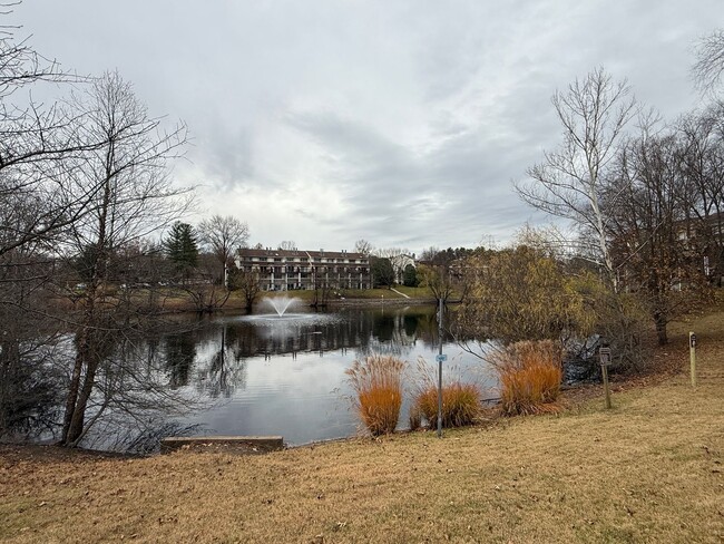 Building Photo - Spacious 3 Bedroom Condo- RENT TODAY & SAVE!