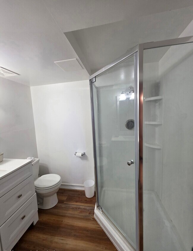 Downstairs Bathroom - 1409 2nd West Hill Dr