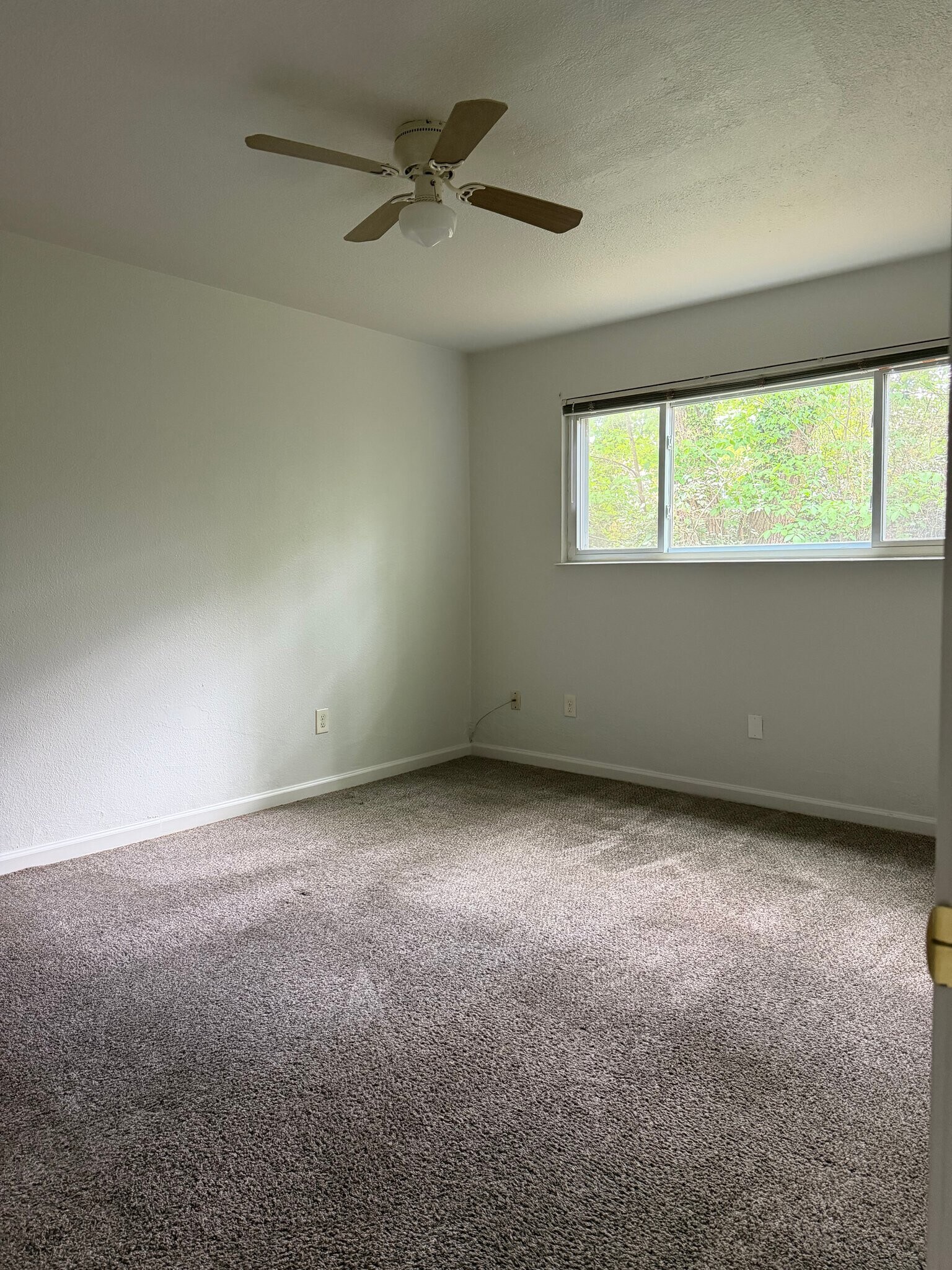 Building Photo - 2412 Azalea Garden Rd