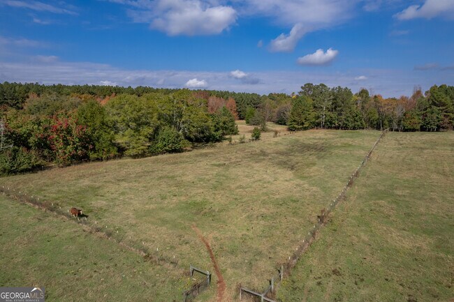 Building Photo - 1121 Prospect Rd