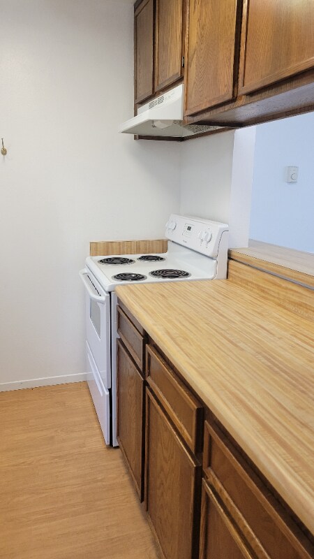 Building Photo - 1533 El Tigre Ct
