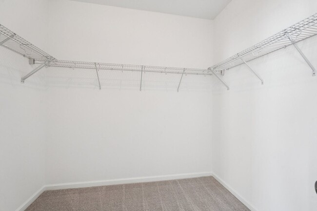 Building Photo - 24682 Lynette Springs Ter