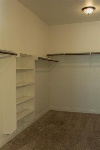 Building Photo - 638 Enfield Dr