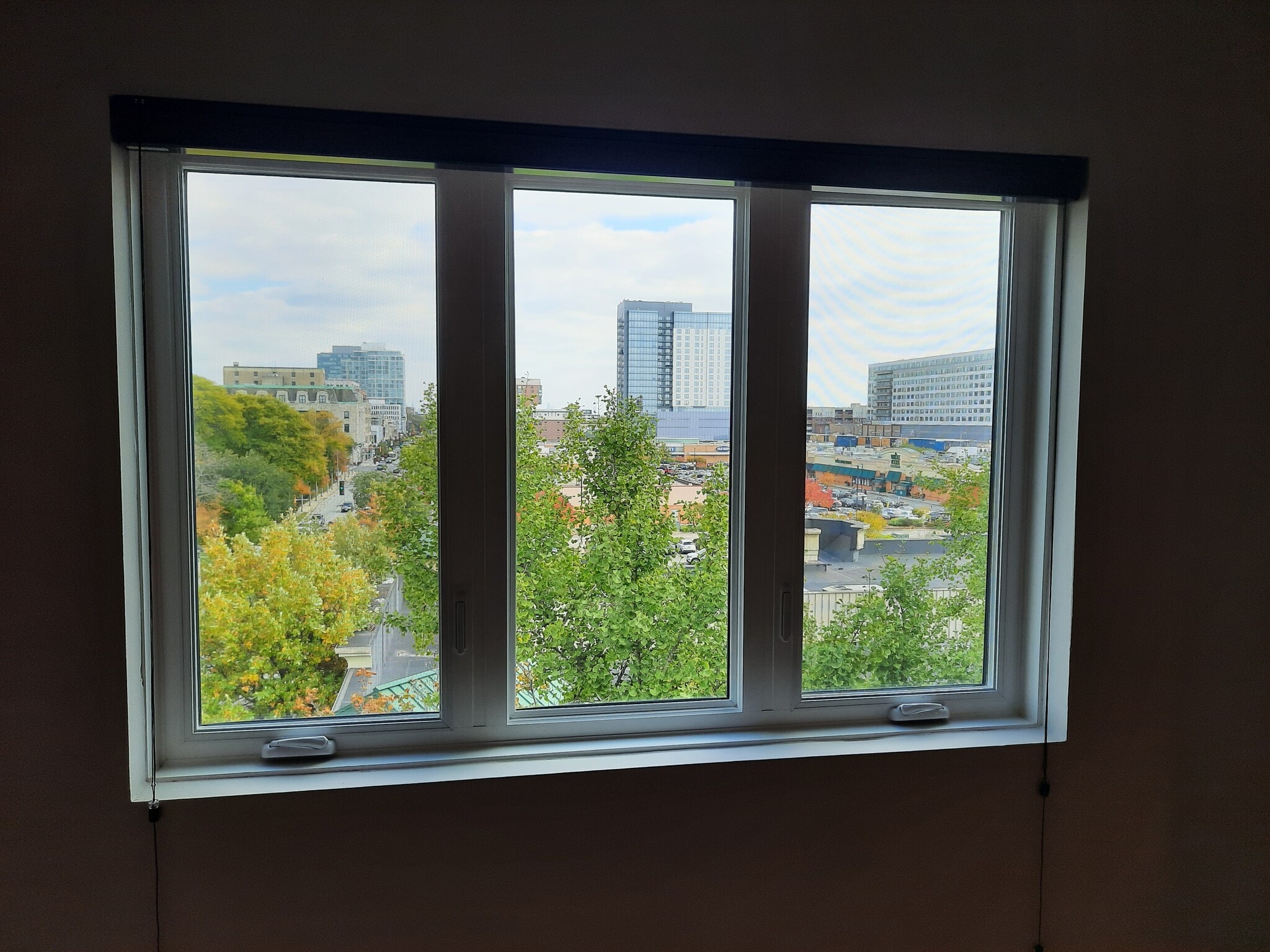 Dining room window view looking east - 434 Clinton Pl