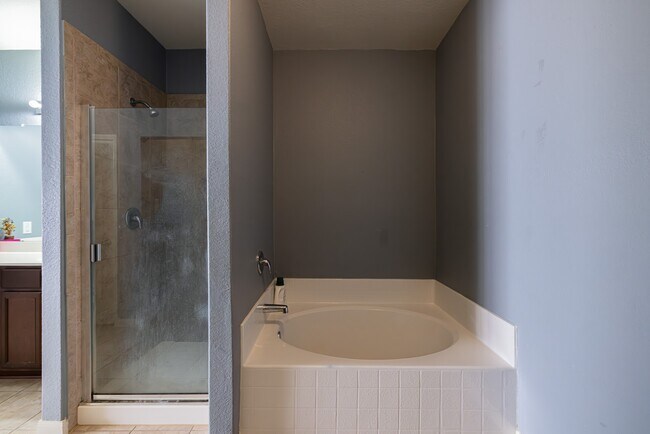 Building Photo - 10814 Spring Brook Pass Dr