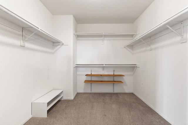 Building Photo - 237 Cedar Glen