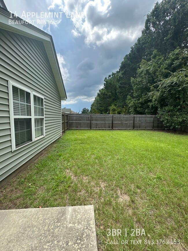 Building Photo - 14 Applemint Ln