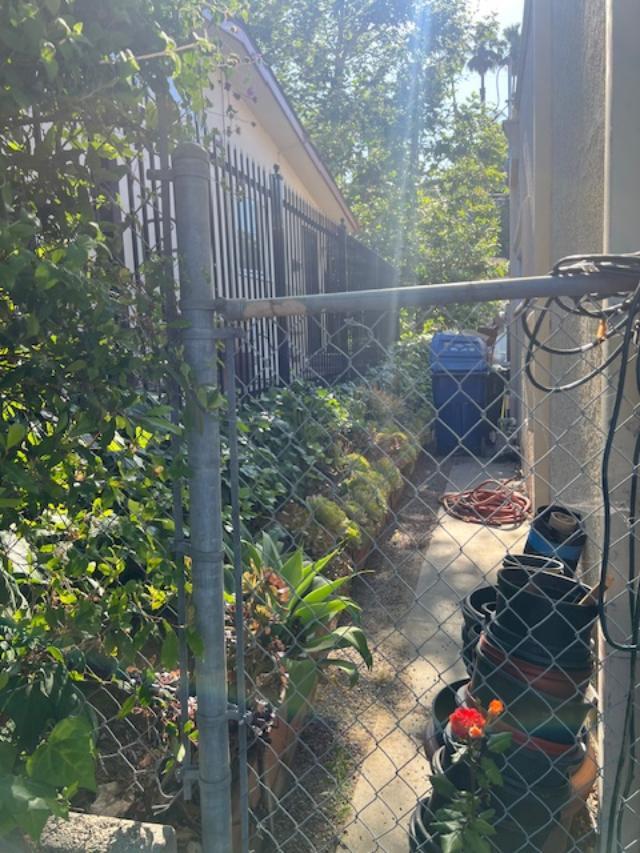 Water-friendly, native flora in side yard - 2812 Anchor Ave