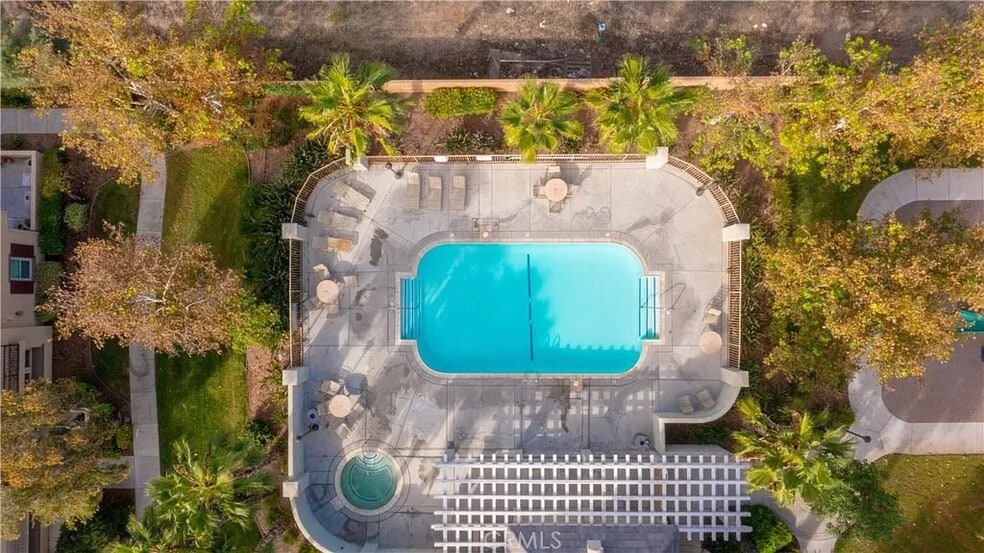 Pool - 1800 E Lakeshore Dr