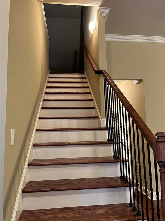 Building Photo - 217 Winchester Way