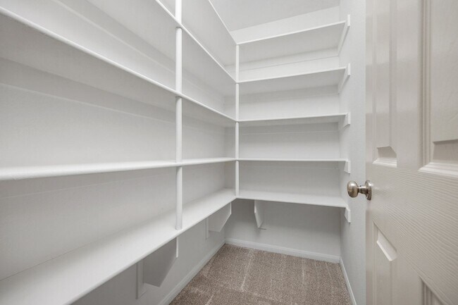 Building Photo - Beautiful home in Canterbery