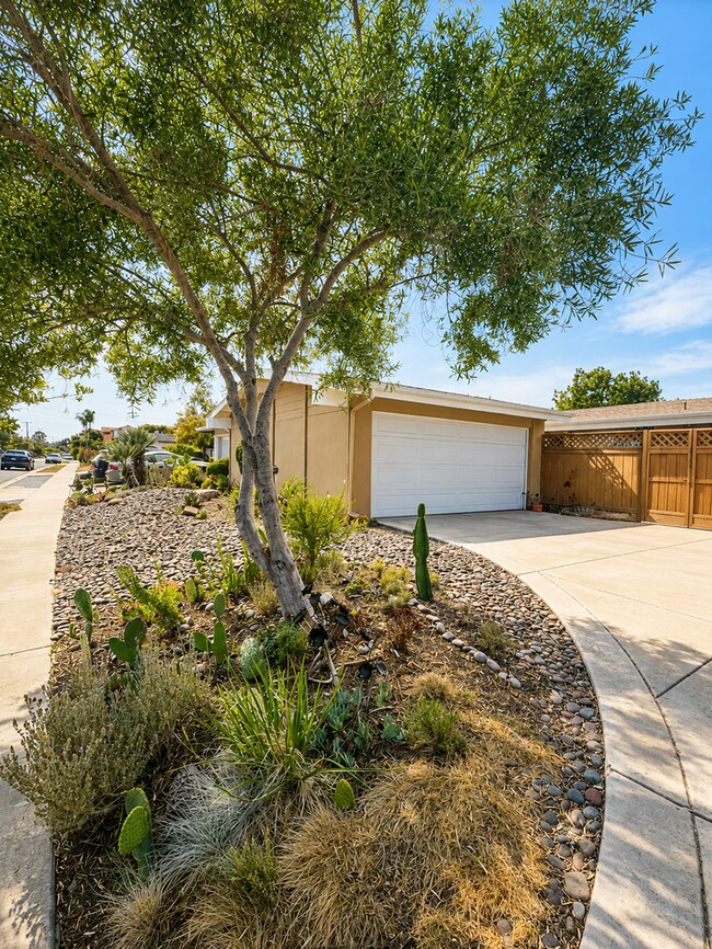 Building Photo - Charming 3 BD / 2 BA Home with Ample Natural Light and Spacious Backyard!