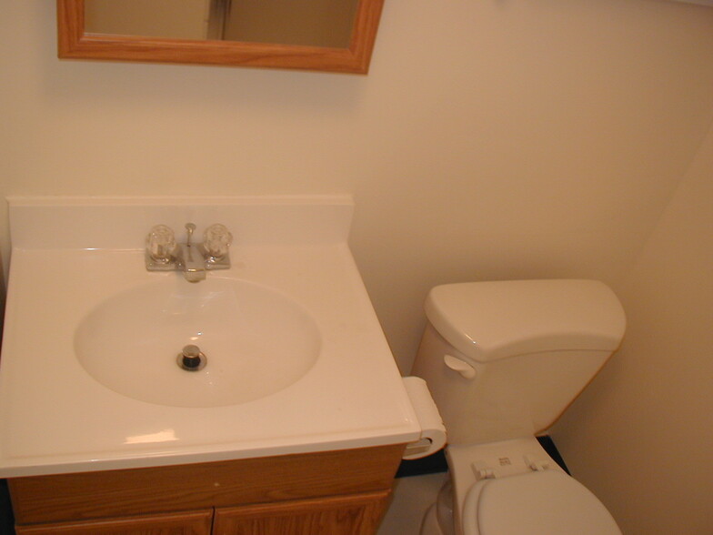 Bathroom in basement - 7187 N Fiske Ave