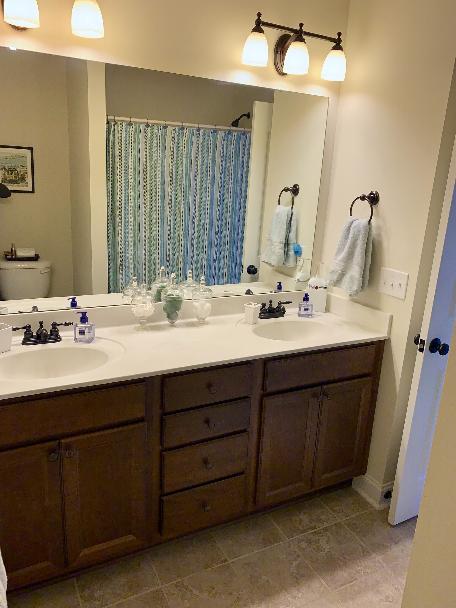 Upstairs Bathroom - 1359 Micahs Way N
