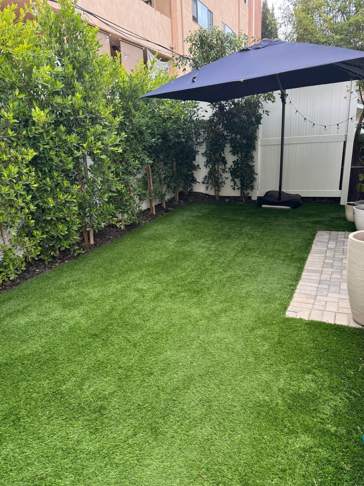 Back yard - 1120 S Barrington Ave