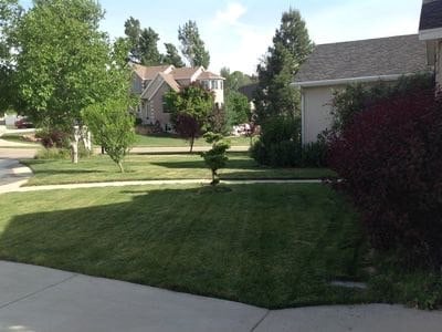 Building Photo - 12000 S Allison Pk Ct