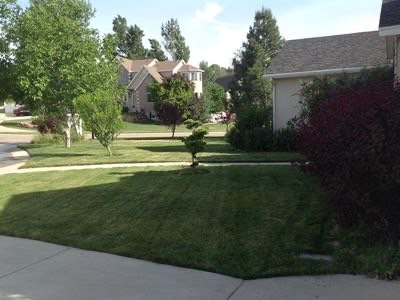 Building Photo - 12481 S Allison Pk Ct