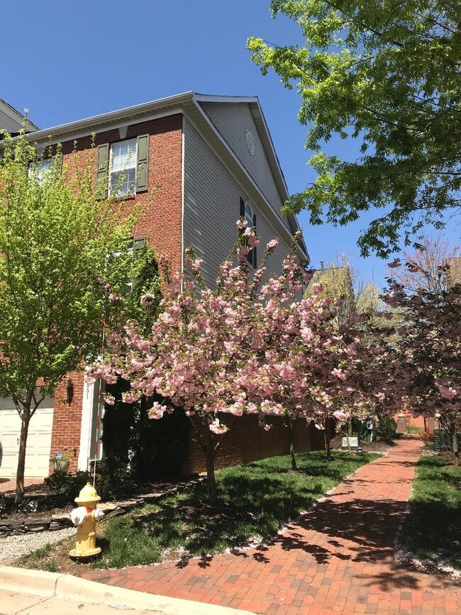 Building Photo - 5001 Waple Ln