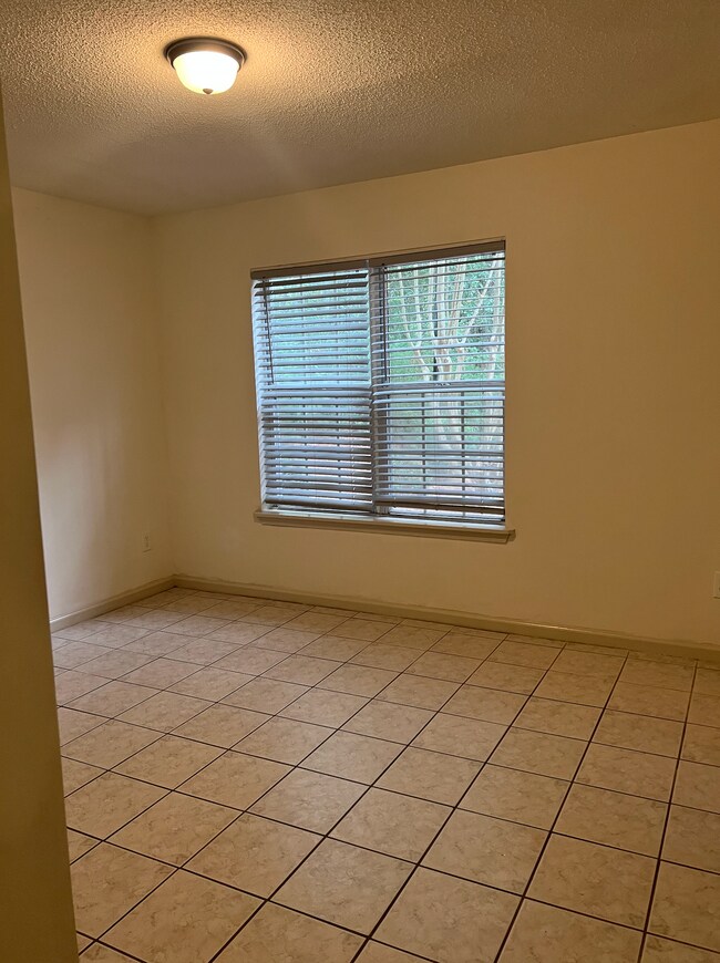 Bedroom #2 with closet space - 145 Lullwater Dr