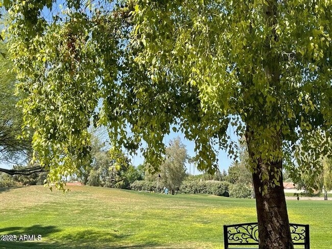 Building Photo - 7348 N Vía Camello Del Norte