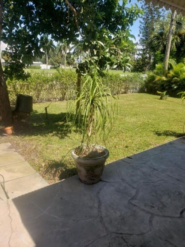 Building Photo - 812 Dogwood Rd