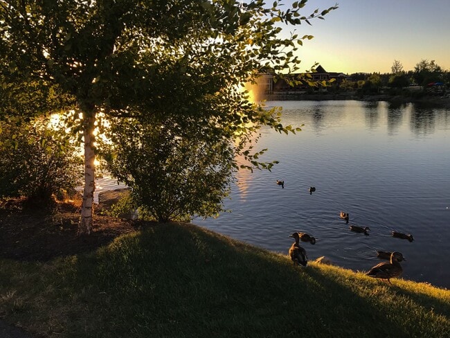 Building Photo - 1 Bedroom | 1.5 Bathrooms | 2 Flexible Bonus Spaces | Luxury Riverstone Condo