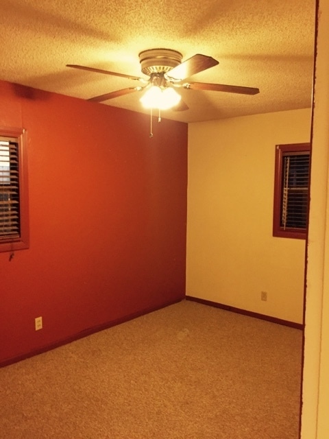 Building Photo - HOME NEAR UNIVERSITY NEW CARPET