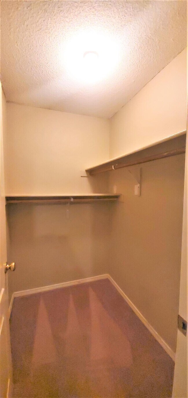 Building Photo - 3408 Blue Earth Ln