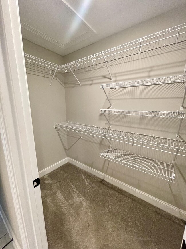 Building Photo - 1005 Ridgestone Ct