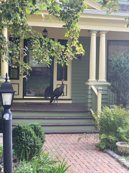 Primary Photo - 9 Woodland Ave