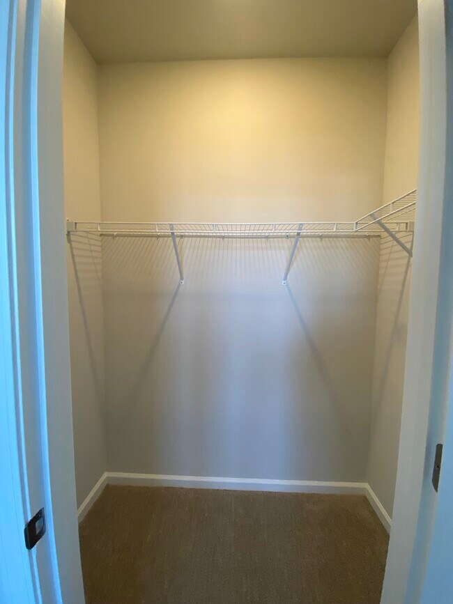 Building Photo - 3336 Mid Summer Ln