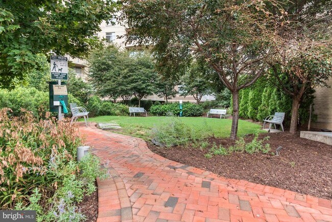 Building Photo - 7111 Woodmont Ave