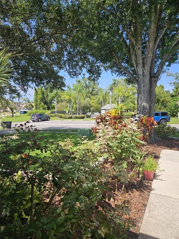 Building Photo - 339 Petrea Dr