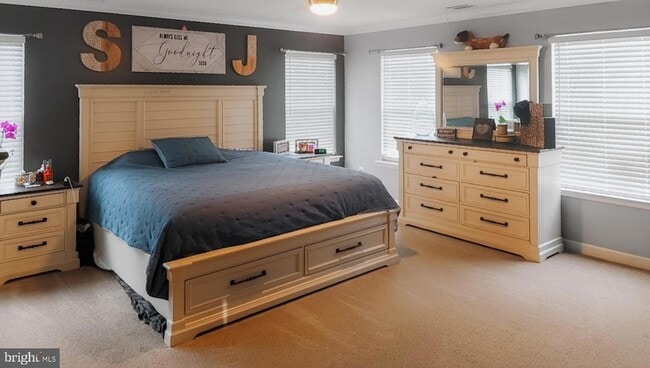 Building Photo - 20910 Pine Cone Pl