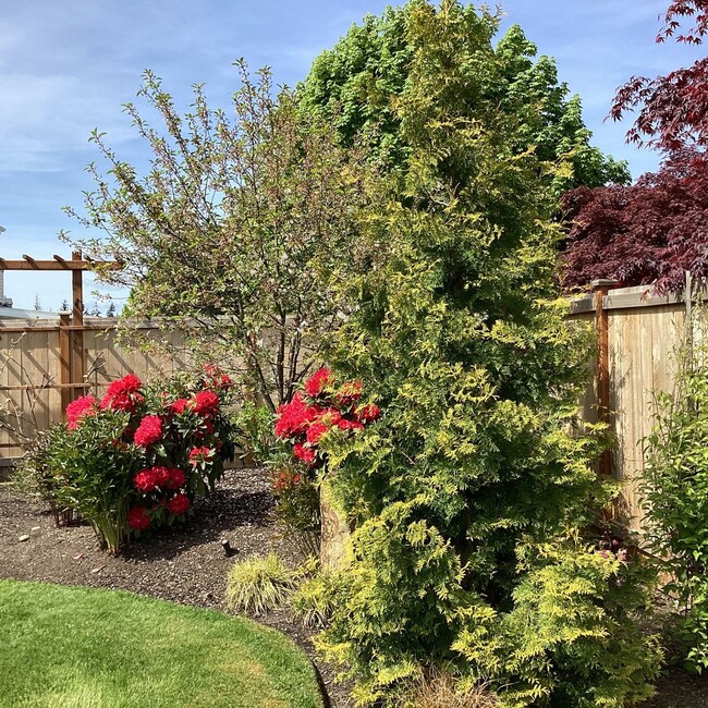 Building Photo - Charming Mukilteo Rambler in Fair Harbor