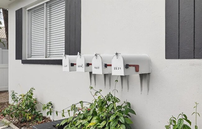 Building Photo - 5517 Gulfport Blvd S