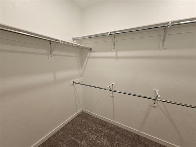 Building Photo - 3915 Chesapeake Ln