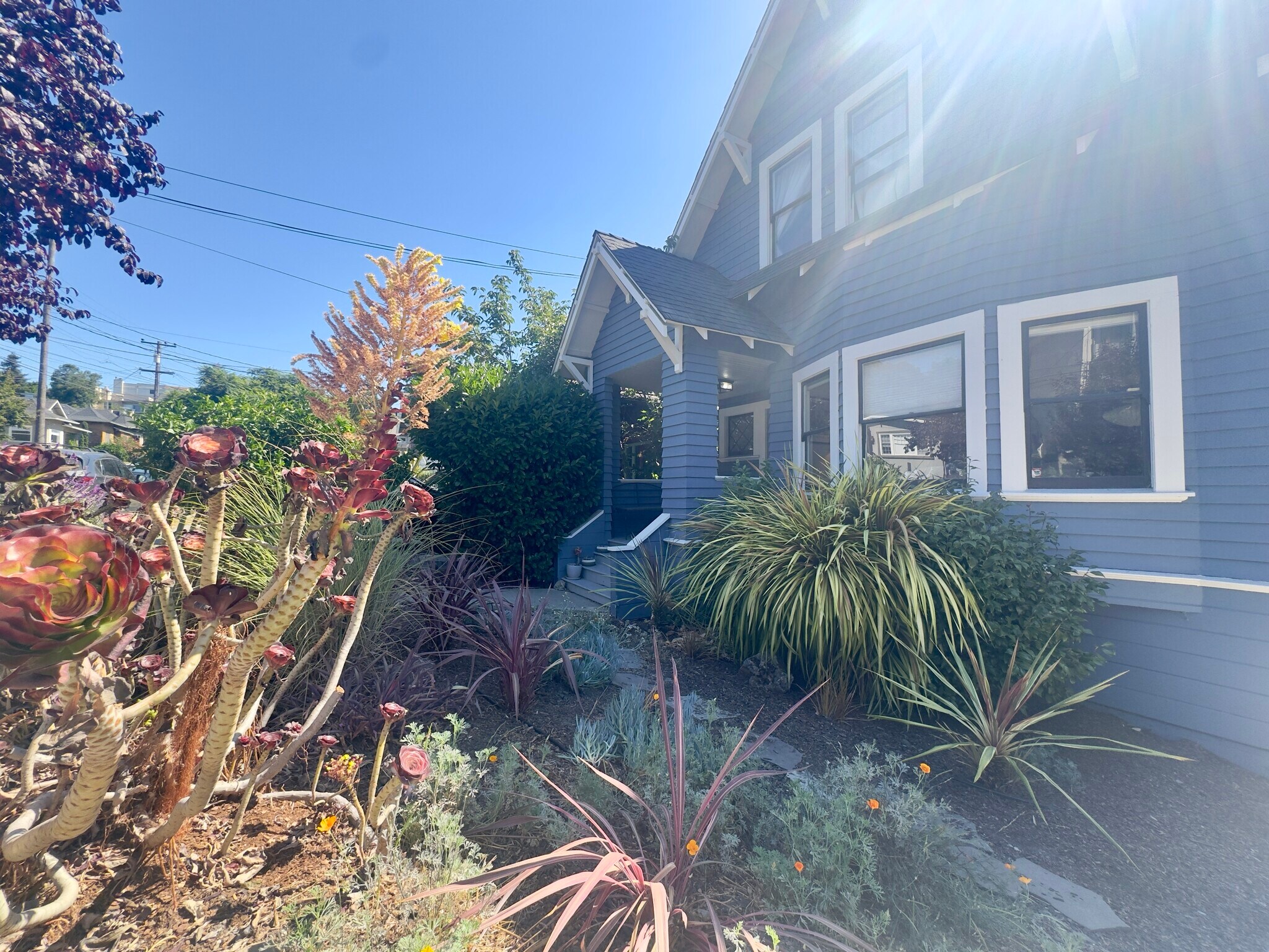 Building Photo - 538 Chetwood St