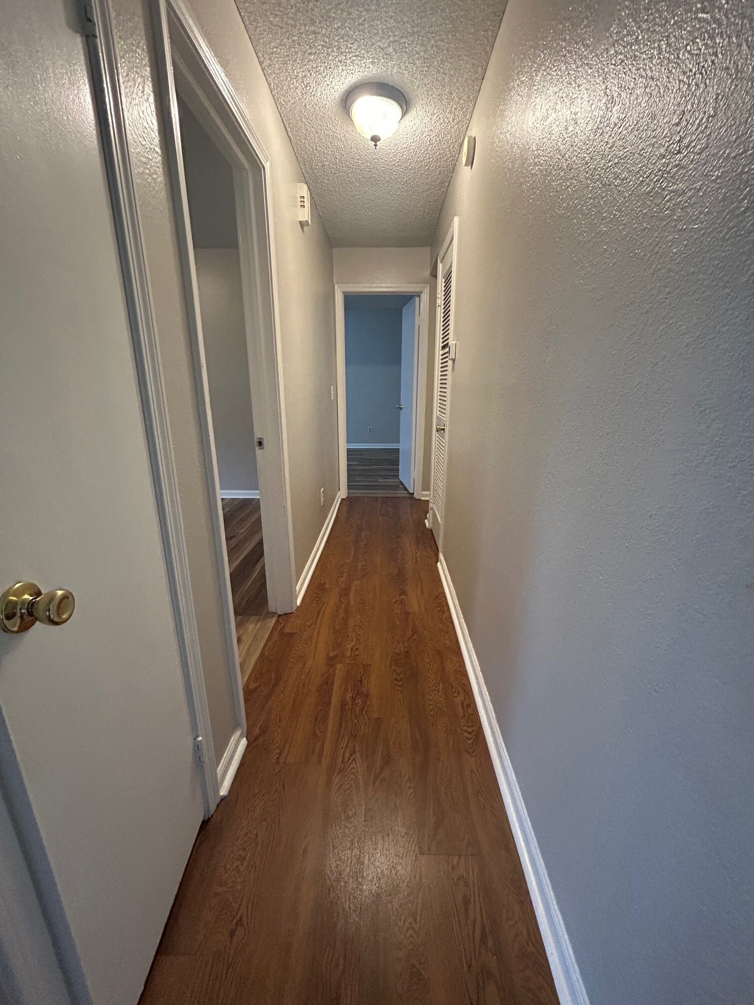 Hallway - 103 Thornwell Ct